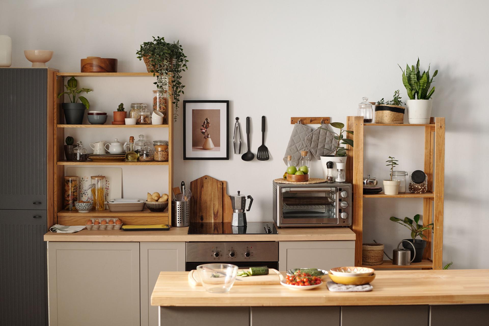 Modern Kitchen Interior Featuring Wooden Shelving and Plants